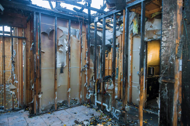 Professional Smoke Damage Removal technician working in Glyndon, MD